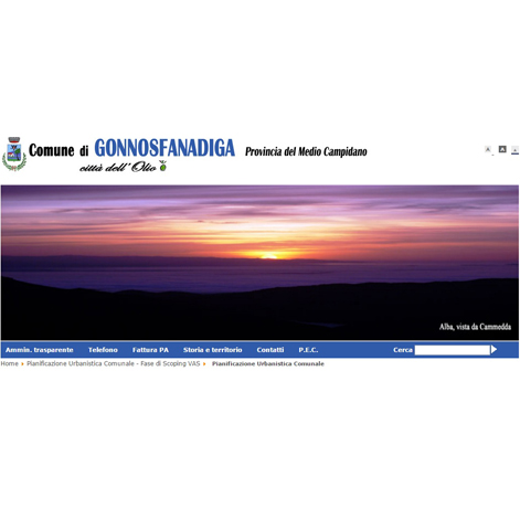 PUC/VAS COMUNE DI GONNOSFANADIGA